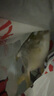 翔泰 海南金鲳鱼净重900g 2条装  鱼类生鲜 烧烤 火锅食材 海鲜水产 晒单实拍图