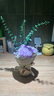 京东鲜花创意花束陶瓷花瓶花器客厅餐桌柜子插花水养鲜花高级感摆件装饰品 实拍图