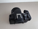 佳能r10 微单相机 轻量小型 APS-C画幅 eos r10 高速连拍 踏青 打鸟vlog数码照相机 EOS R10单机身拆【不含镜头 建议选套机】 官方标配【不含内存卡相机包等必要配件 推荐选套餐 实拍图