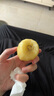 佳沛（zespri）新西兰 阳光金奇异果12粒礼盒特大果单果约122-146g 猕猴桃 水果 实拍图