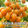 粤迎广东鸡心黄皮果【JD顺丰冷链】当季特产新鲜现摘现发孕妇可吃 鸡心黄皮果【酸甜多汁】 3斤精选果【独享装-较划算】净2.7斤 实拍图