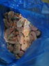 仁豪水产【源头直发】海藻虾北极甜虾 90/120规格 净重4斤 解冻即食 聚餐 实拍图