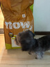 NOW FRESH无谷小型犬四叶草颗粒全犬幼犬狗粮 25磅/11.34KG 新鲜效期 实拍图
