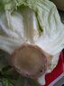 带根香菜100g 实拍图
