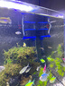 格池（GRECH）格池潜水泵抽水泵CQJ-500G款 2.5W 净水增氧过滤泵三合一过滤水泵 实拍图