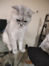 帕特生骨肉冻干猫零食 猫咪主粮冻干零食磨牙帕特肉干 兔肉桃心饼240g 实拍图