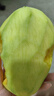 京鲜生 攀枝花凯特芒果 净重4.5斤 带箱5斤 单果400g+ 生鲜水果源头直发 实拍图