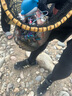 小米（MI）车载充电器快充版1A1C 100W大功率多功能汽车专用智能车充适用于小米手机/小米YU7汽车 实拍图