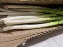 鲜来拉山东大葱铁杆去皮新鲜蔬菜3斤5斤裁半叶葱现挖现发大葱 5斤装 实拍图