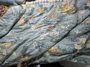 富安娜家纺 夏凉被100%蚕丝被子夏季空调被夏季单人双人宿舍薄被子 100%蚕丝抑菌-茉染 230*229cm 实拍图
