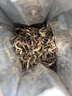 张一元茉莉花茶叶雪毫春新茶浓香口粮茶老北京伴手礼品送礼特种50g袋装 实拍图