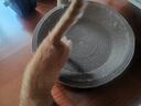 疯狂的主人猫抓板窝碗形大号猫抓盆不掉屑猫窝宠物猫玩具瓦楞纸猫爪板 实拍图
