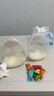 小白熊SnowBear吸奶器 免手扶电动全自动按摩便携挂脖式 双边挤奶器3058IIPro 实拍图
