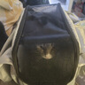 DO DO PET宠物包猫咪外出便携包包透气舒适猫包博美泰迪小狗手提宠物手拎包 灰色-建议11斤内猫咪-8斤内狗狗 实拍图