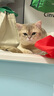 素力高（SolidGold）进口高蛋白金装金素鸡长肉营养成猫全价猫粮15磅/6.8kg 实拍图