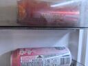 青岛啤酒（TsingTao）爆款组合500ml*12听 白啤4听+福禧4听+皮尔森4听 实拍图