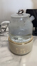 World Kitchen康宁全玻璃养生壶恒温壶煮茶器1L办公室家用花茶壶烧水壶电热水壶（升级茶漏炖盅款+全玻璃盖） 实拍图