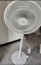 美的（Midea）【品质推荐】七叶轻音柔风电风扇/家用省电落地扇/台式电扇/广角摇头节能宿舍小型风扇 SAE35CA 实拍图