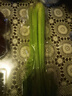  大芹菜约400g 实拍图
