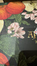 京鲜生 新西兰Dazzle丹烁苹果9粒装巨无霸 单果180-220g 生鲜水果礼盒 实拍图