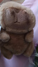 卡皮巴拉毛绒玩具公仔儿童生日礼物女孩情人节礼物水豚毛绒玩偶 卡皮巴拉公仔 1个装（新人专享） 实拍图