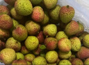 【产地直采】妃子笑荔枝1.5kg（单果16g起） 实拍图