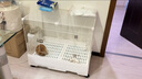 蔻丝兔笼子防喷尿特大号室内专用兔子笼子防溅尿自动清粪荷兰猪兔子窝 实拍图