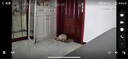 普联（TP-LINK）终身免流量4G监控摄像头家用 无限流量高清无线全彩夜视室内外防水监控手机远程360度全景旋转云台 400万室内单镜头【4G无限免流量款】 32GB【免费升级64GB卡】 实拍图
