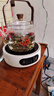 茗光煮茶壶电陶炉煮茶器烧水壶泡茶炉养生壶套装家用功夫茶具套装 实拍图