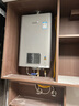 林内（Rinnai）【小蛮腰Pro plus】16升极光灰燃气热水器【家电国家补贴15%】 进口恒温芯 16GD33（JSQ31-GD33） 实拍图