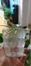 【京东物流】冰川纹玻璃杯时尚潮流ins风果汁杯酒杯水杯 冰川杯250ml6只 实拍图