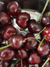 枝头熟大连美早大樱桃250g 单果10g＋ 实拍图