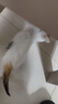 疯狂的主人 猫抓板窝超大号圆形不掉屑耐磨一体猫窝磨爪猫咪玩具 实拍图