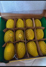 佳沛（zespri）新西兰 阳光金奇异果12粒礼盒特大果单果约122-146g 猕猴桃 水果 实拍图