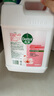 滴露（Dettol）洗手液补充装大桶消毒滋润5L 儿童家庭装杀菌护手 实拍图