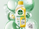 滴露（Dettol）洗衣机清洗剂250ml金装版柠檬滚筒波轮洗衣机深度清洁剂除垢杀菌 实拍图