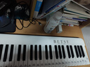 贝琪（Betsy）B190磁吸钢琴88键成人便携式电钢琴学生幼师专业折叠手卷电子钢琴 熊猫白+果冻琴包 实拍图