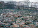 河堤边坡防汛铁丝网石笼格宾网镀锌包塑景观石墙雷诺护垫石笼网箱 规格齐全可定制【格宾网】 报价联系客服咨询优惠 实拍图
