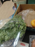 带根香菜100g 实拍图