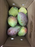 【大青皮芒】攀枝花凯特芒 净重4.5斤【单果150g+】 实拍图
