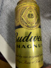百威黑金啤酒500ml*12听整箱装烈性拉格焦香醇厚 端午节送礼 实拍图