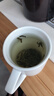 峨眉雪芽【门店同款】茉莉花茶飘雪慧欣 高山绿茶茶叶茗茶特级礼盒120g 实拍图