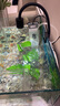 森森 小鲤鱼缸过滤器净水循环三合一内置水族箱过滤系统XQP-500F 6W 实拍图