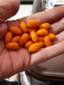 普丽普莱（Puritan's Pride）辅酶Q10胶囊200mg240粒熬夜加班优选 保护心脏心脑血管 美国进口 实拍图