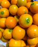 田良季广西金桔融安脆皮桔蜜新鲜滑皮水果生鲜小橘子送礼品礼物盒年货节 5斤装【很划算】净重4.5斤 精品果丨28-32枚/斤左右丨很甜 实拍图