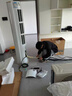 海尔（Haier）3匹静悦一级能效省电节能客厅柜机空调 KFR-72LW/28KCA81U1(冰雪白)  家电国家补贴20% 以旧换新 实拍图