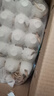 HF大麦虫活体面包虫黄粉虫龙鱼乌龟守宫蜥蜴蜘蛛鸟宠物饲料包成活率 1斤大麦虫（5厘米）送麦麸镊子 实拍图