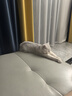 憨憨乐园宠物猫咪饮水机狗狗流动水活水猫饮水器喝水器自动循环猫狗喂水 实拍图