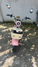 科迅 KX2025新款电动自行车成人电瓶车女士小型亲子代步车时尚电动车可上牌新国标电车 樱花粉 配【天能石墨烯20.3A】续航约90KM 实拍图
