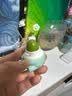 舒缓紫草膏蚊虫叮咬止痒消肿小巧便捷式防蚊膏舒爽清凉无刺激膏药 紫草膏【1支】 实拍图